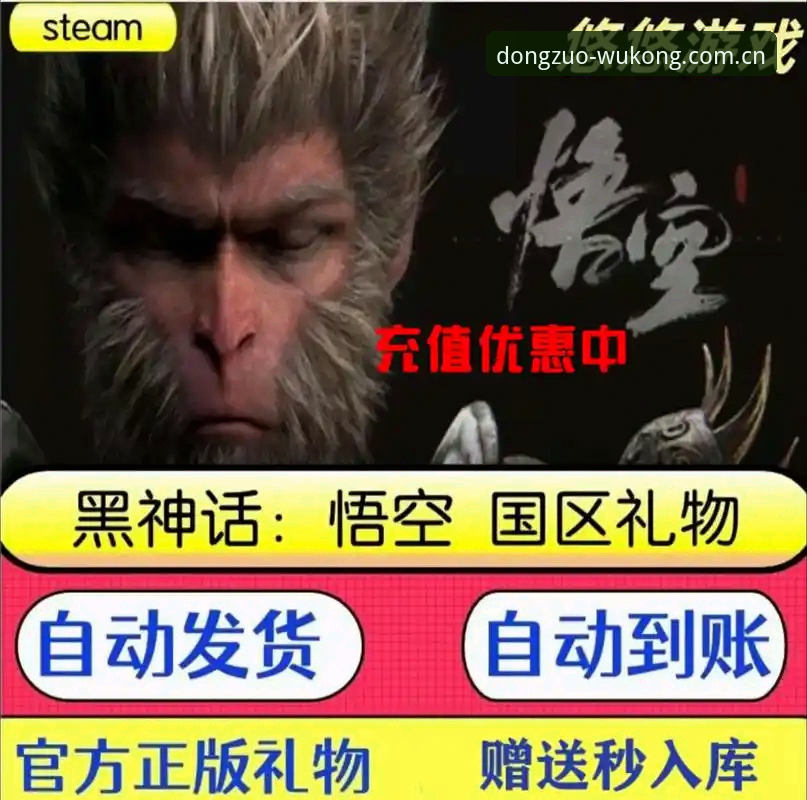 为什么说2026年悟空体育综合兼容版入口是动作爱好者的必备选择？